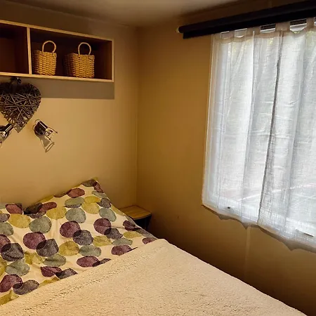 Au Coeur Des Pins * Camiers